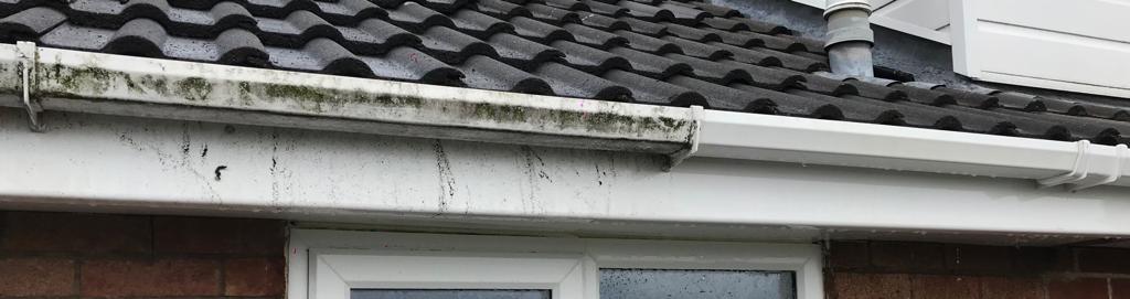 Gutter Cleaning Sheffield, a picture of a gutter which is partially dirty but is partially sparkly cleaned by LCS Window Cleaning.
